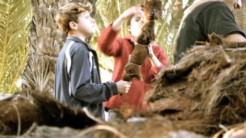 Este jueves se abre el Mercadillo de Atxes en la Pla&ccedil;a de Baix