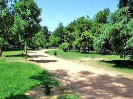 Plan Estratégico para el cambio climático en Córdoba Plan Estratégico para el cambio climático en Córdoba