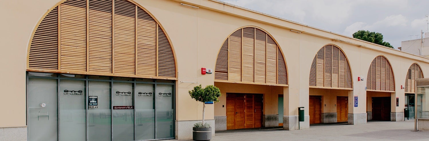 La programación cultural de La Llotja de Elche arranca con un ciclo de música en homenaje a Ángel Alfosea La programación cultural de La Llotja de Elche arranca con un ciclo de música en homenaje a Ángel Alfosea