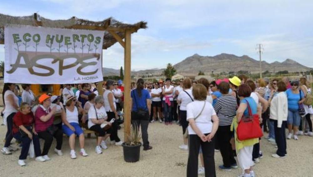 Participantes en el programa de huertos ecológicos de Aspe