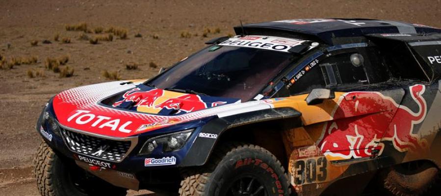 El piloto español, Carlos Sainz. El piloto español, Carlos Sainz.