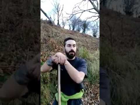 Brillantes y desconocidos: Nel Cañedo, un pastor extraordinario Brillantes y desconocidos: Nel Cañedo, un pastor extraordinario