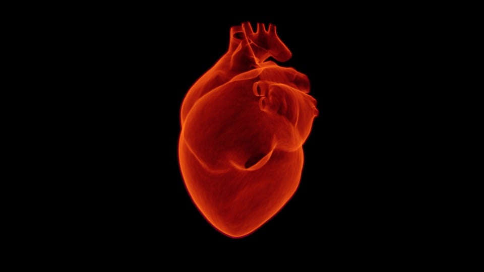 El especialista: hábitos cardiovasculares y otros problemas derivados del corazón El especialista: hábitos cardiovasculares y otros problemas derivados del corazón