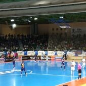 Segovia Futsal- FC Barcelona