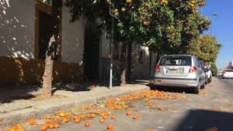 C&oacute;rdoba en la Onda