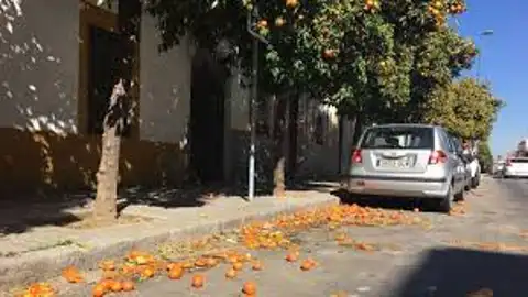 Córdoba en la Onda Córdoba en la Onda
