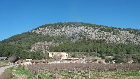 Puig de Maria,, Pollen&ccedil;a