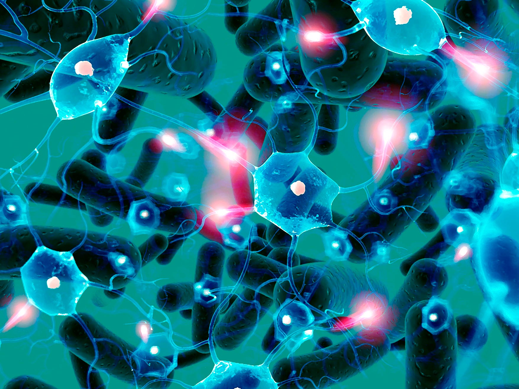 La Farmacia en Casa La Farmacia en Casa