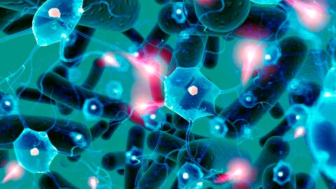 El consumo de probioticos fomenta una actitud proactiva en personas con fibromialgia