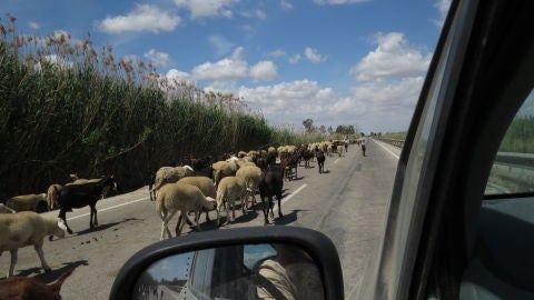 CARRETERA DE EL HONDO