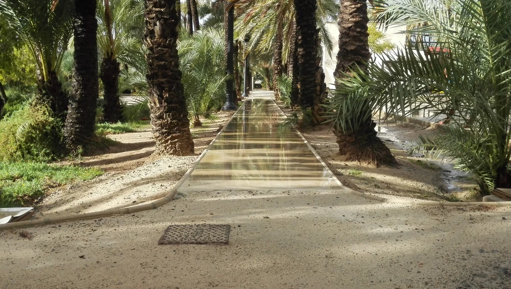 Estado en el que quedan los accesos a la sede de la Asociación Parkinson Elche cuando llueve Estado en el que quedan los accesos a la sede de la Asociación Parkinson Elche cuando llueve