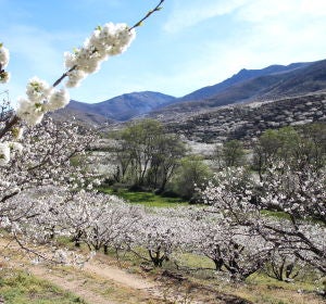 Extremadura
