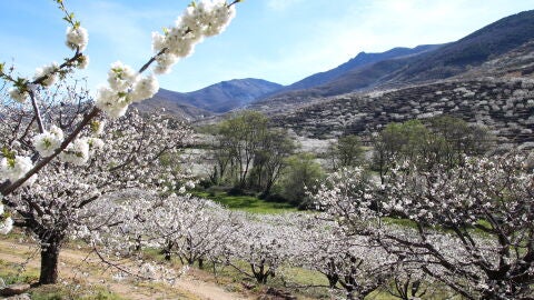 Extremadura