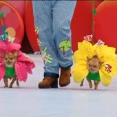 Las mascotas... también de Carnaval