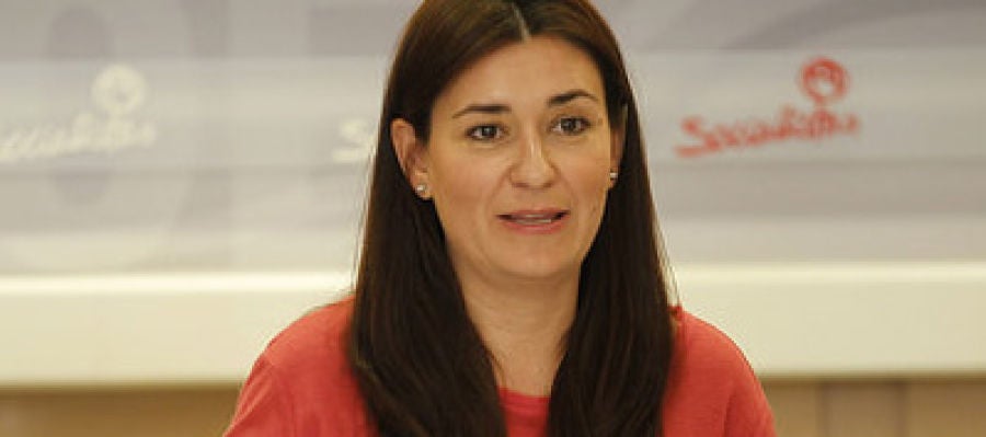 La consellera de sanidad, Carmen Montón. La consellera de sanidad, Carmen Montón.