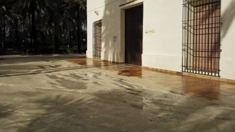 Charcos y barro junto a la puerta principal de la sede de la Asociaci&oacute;n Parkinson Elche