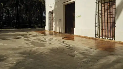 Charcos y barro junto a la puerta principal de la sede de la Asociación Parkinson Elche Charcos y barro junto a la puerta principal de la sede de la Asociación Parkinson Elche