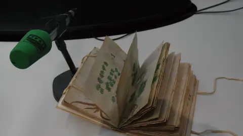 Facsímil del manuscrito Voynich Facsímil del manuscrito Voynich