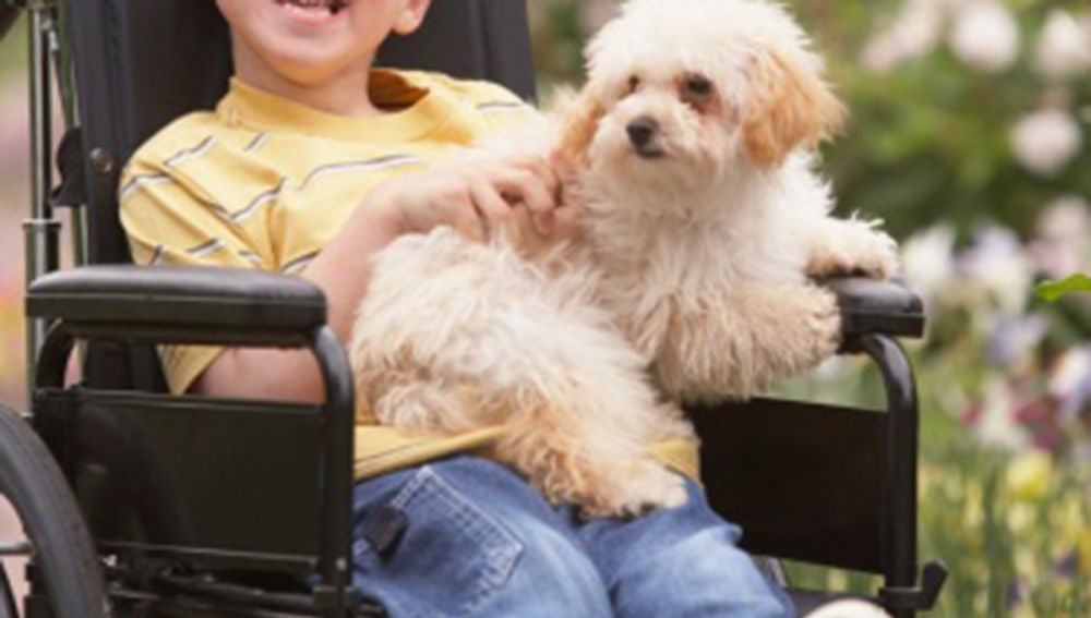 Un niño con discapacidad en una silla de ruedas con su perro