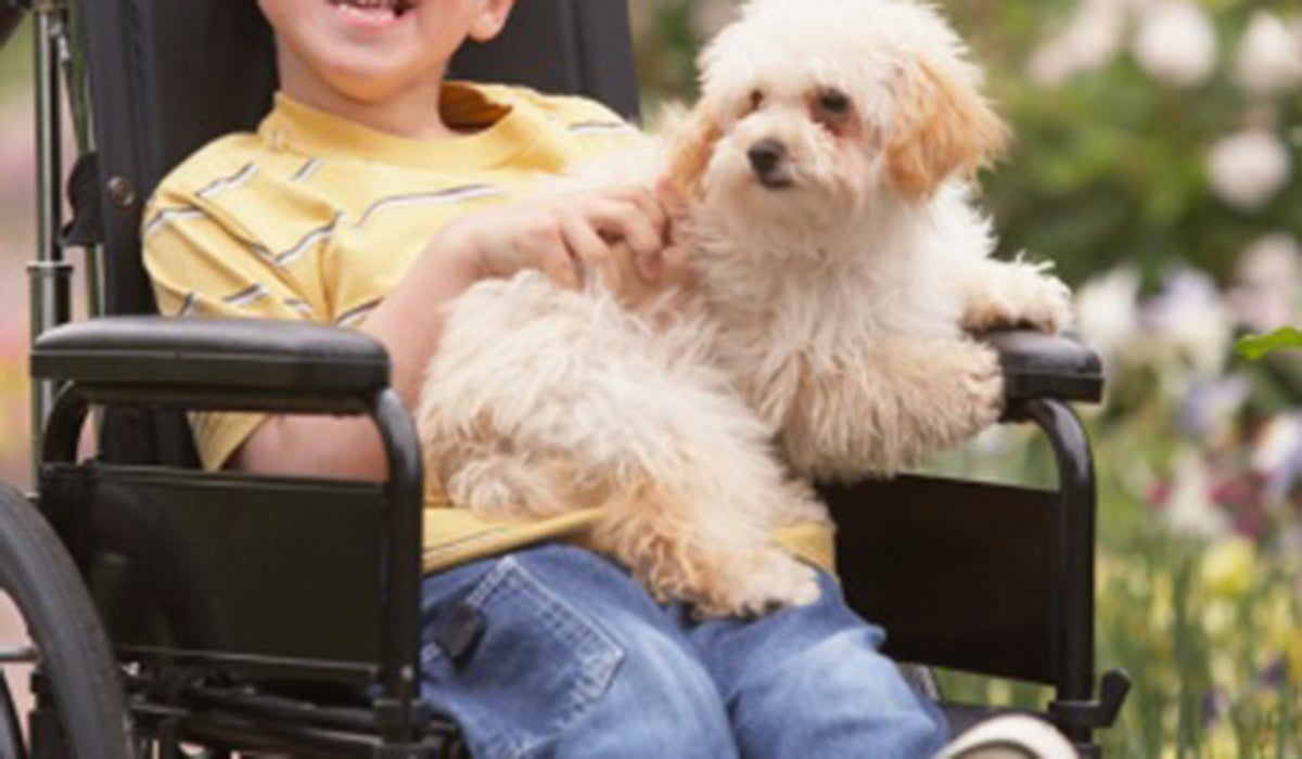 Un centro comercial de Madrid modificará sus normas de acceso con mascotas después de echar a un niño con discapacidad que iba con su perro Un centro comercial de Madrid modificará sus normas de acceso con mascotas después de echar a un niño con discapacidad que iba con su perro