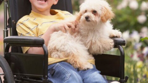 Un ni&ntilde;o con discapacidad en una silla de ruedas con su perro