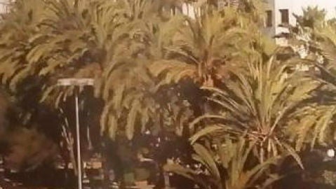PALMERAL