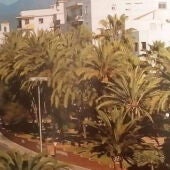 PALMERAL
