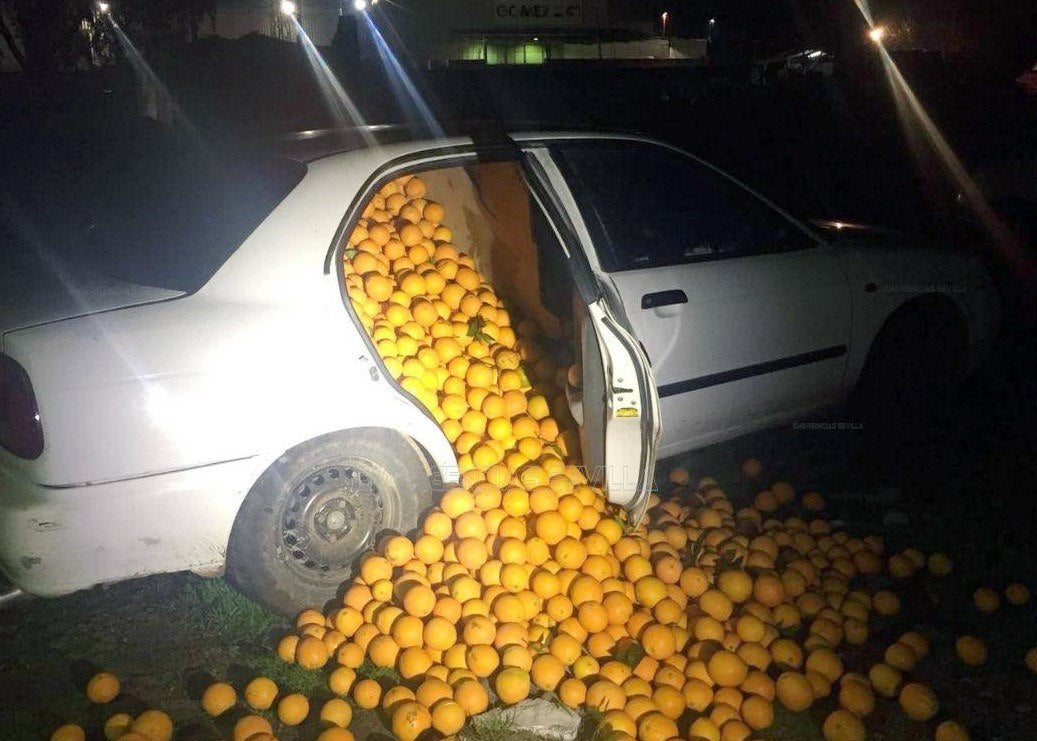 Detienen a cinco personas por robar 4.000 kilos de naranjas en una nave de Carmona Detienen a cinco personas por robar 4.000 kilos de naranjas en una nave de Carmona