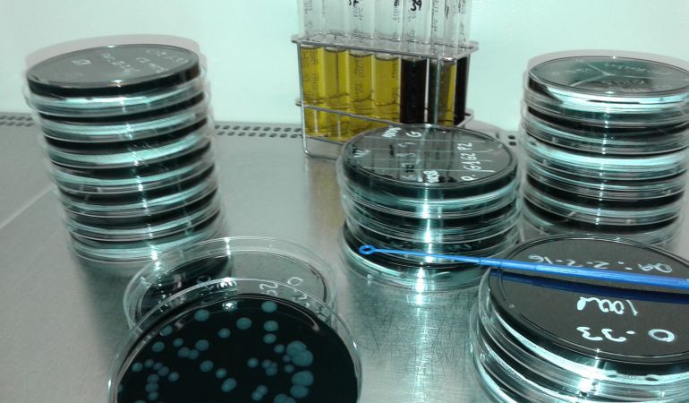 Noticias Mediodía Vigo 01/31/2018 Noticias Mediodía Vigo 01/31/2018