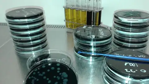 laboratorio del concello de vigo laboratorio municipal de vigo