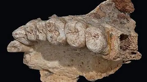 La Brújula de la Ciencia La Brújula de la Ciencia