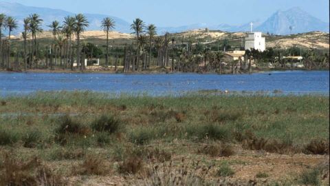 Clot de Galvany de Elche