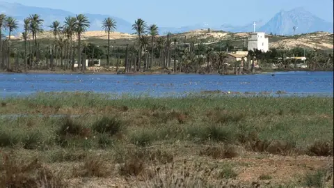 Clot de Galvany de Elche Clot de Galvany de Elche