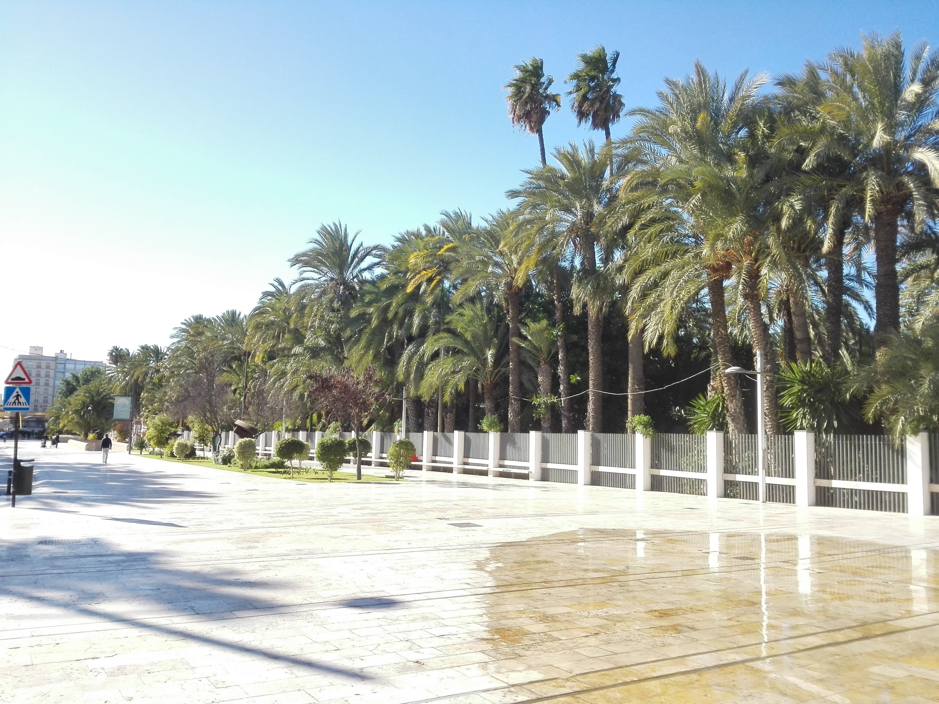 Las temperaturas caen este viernes hasta seis grados en Elche, Crevillent y Santa Pola Las temperaturas caen este viernes hasta seis grados en Elche, Crevillent y Santa Pola