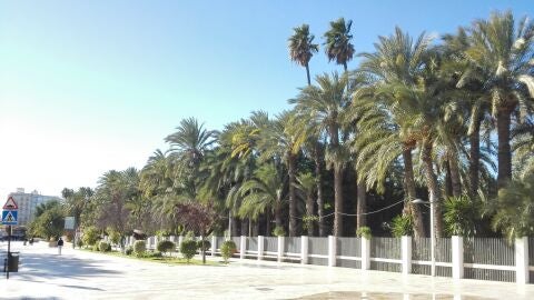 Paseo de la Estaci&oacute;n de Elche