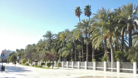 Paseo de la Estación de Elche Paseo de la Estación de Elche