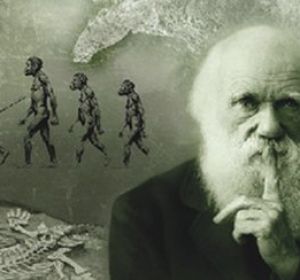Darwin Darwin