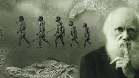 Darwin