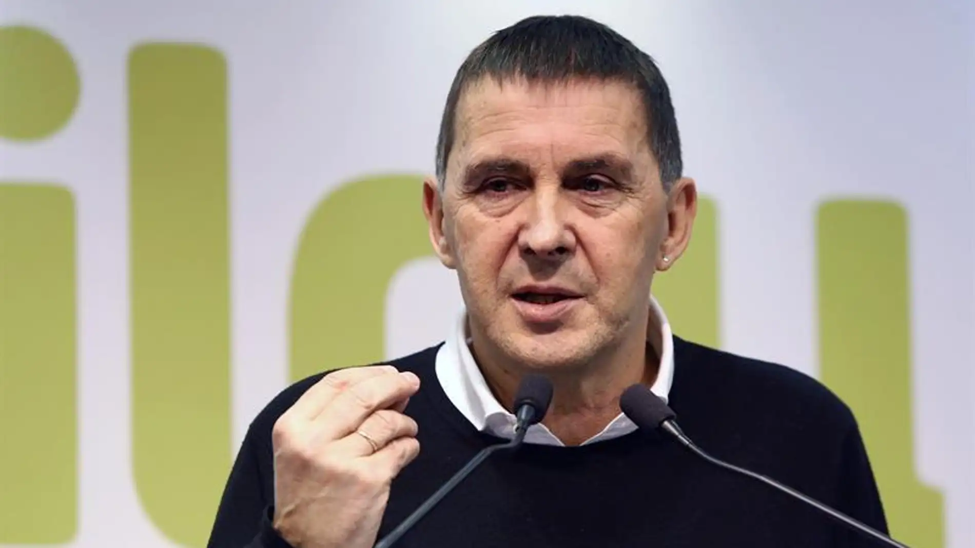 Arnaldo Otegi, coordinador general de Euskal Herria Bildu