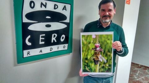 C&oacute;rdoba en la Onda
