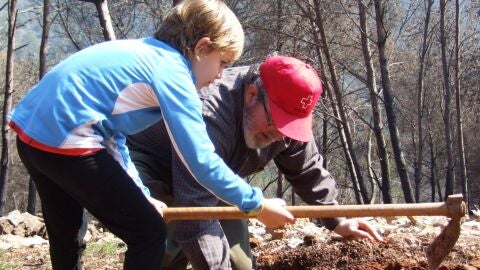 REFORESTACI&Oacute;N CRUZ ROJA