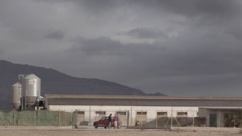 Salvados 