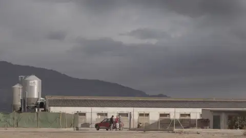 Salvados Salvados