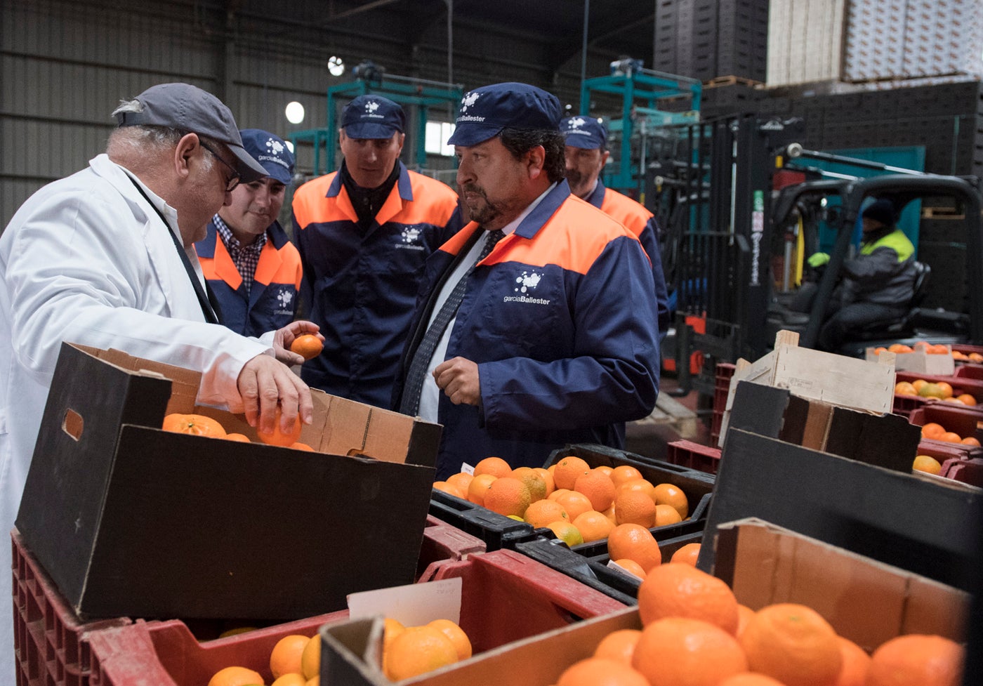 La Diputación de Castellón apoyará al sector citrícola de Castellón en la feria Fruit Logistica de Berlín La Diputación de Castellón apoyará al sector citrícola de Castellón en la feria Fruit Logistica de Berlín