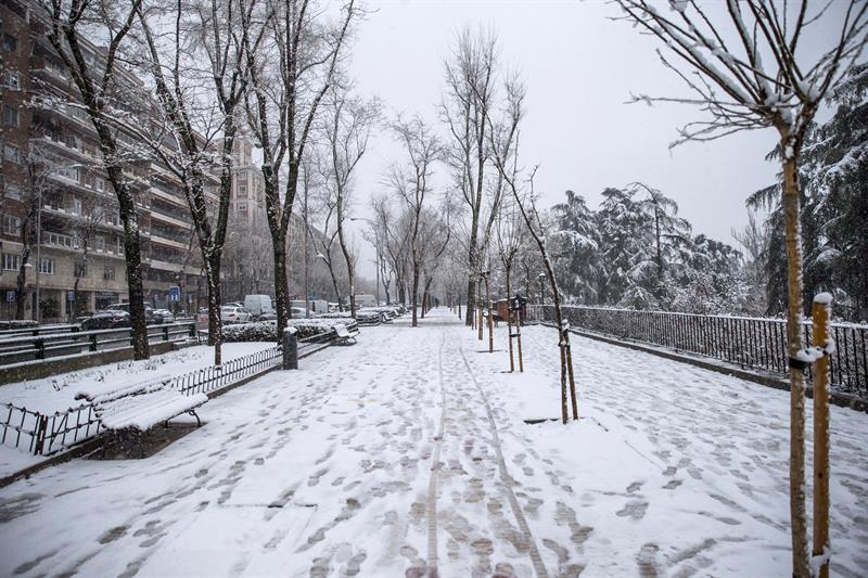 La nieve deja sin clases a más de 40.000 alumnos de seis comunidades autónomas La nieve deja sin clases a más de 40.000 alumnos de seis comunidades autónomas