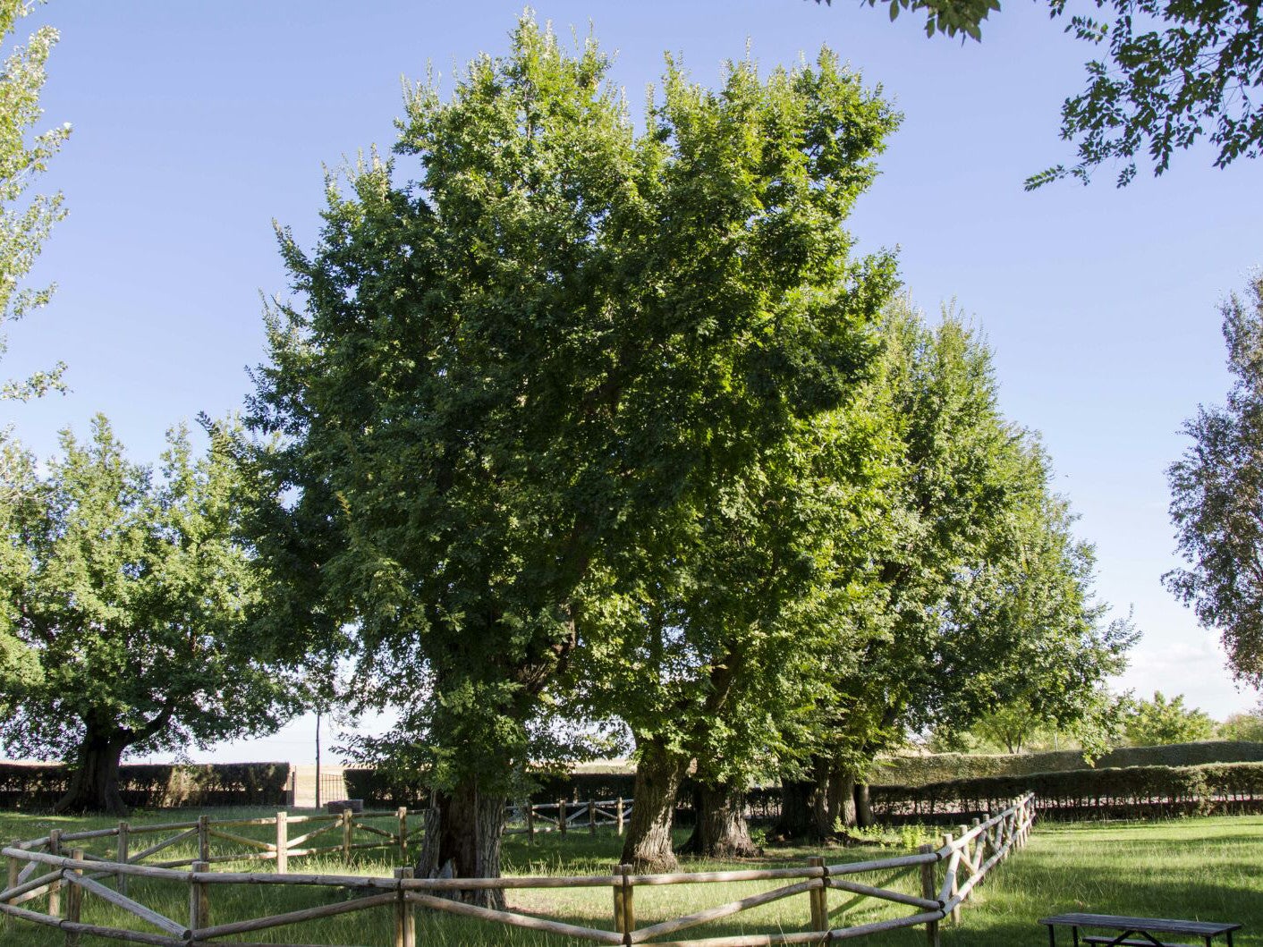 Alcalá de Henares en la onda 14/02/2018 Alcalá de Henares en la onda 14/02/2018