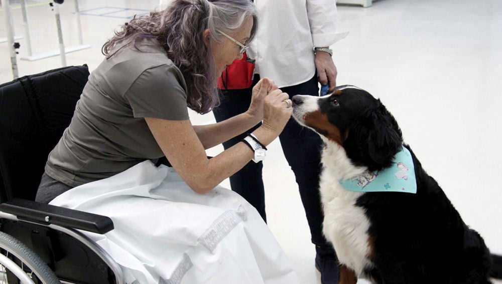 Una paciente que participa en el programa 'Can de la Mano'