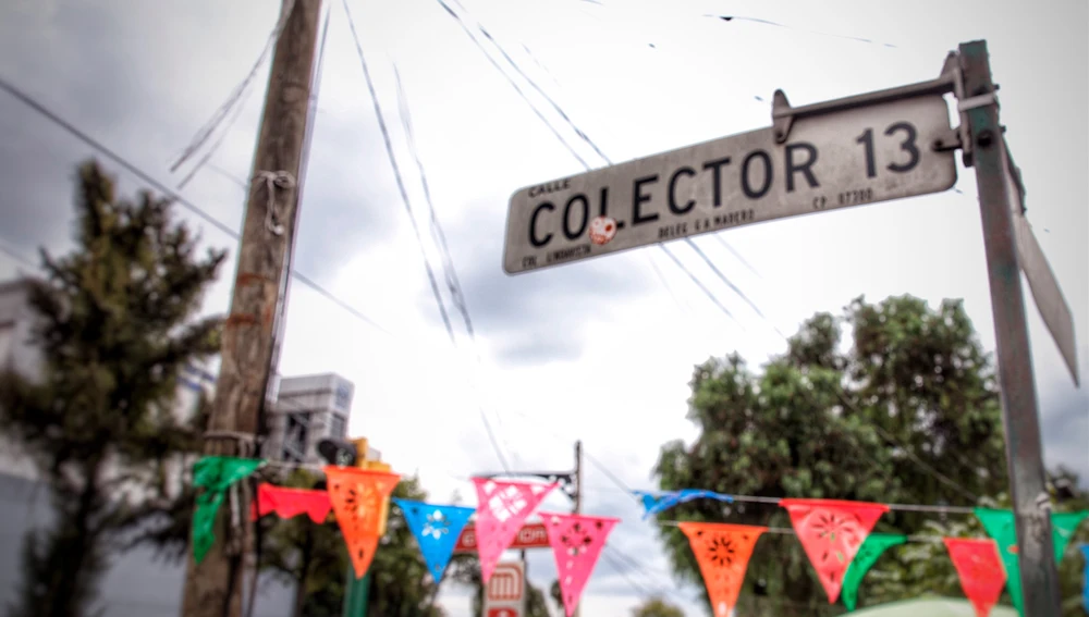 Colector 13 en México Colector 13 en México