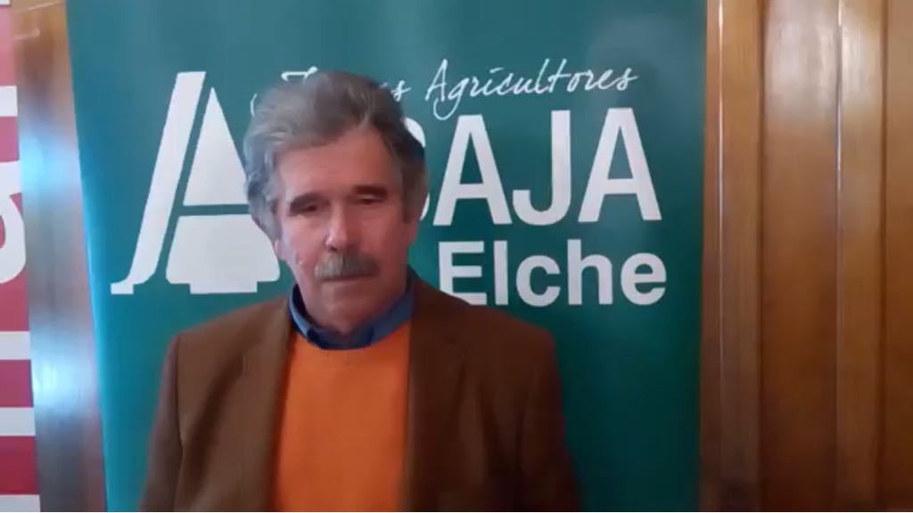 "Las heladas han provocado la pérdida de un 15% de la cosecha de alcachofas" "Las heladas han provocado la pérdida de un 15% de la cosecha de alcachofas"