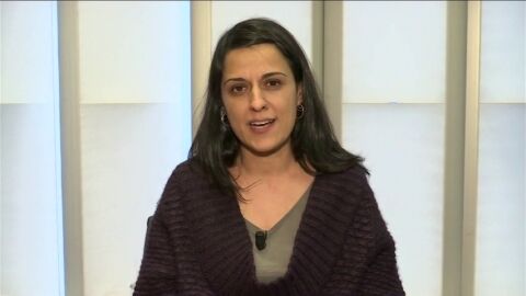 Anna Gabriel asegura que no est&aacute; en Suiza "de vacaciones": "Hay una persecuci&oacute;n pol&iacute;tica"